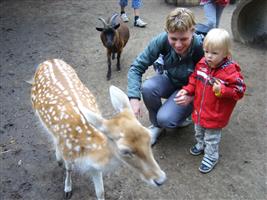 Bambi, tante Femke vertelt er mooie verhaaltjes over.