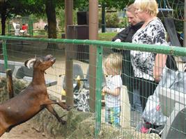 en naar de dierentuin geweest.