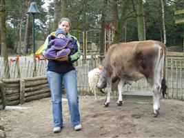 Ikke, Cynthia, koe en schaap. Beestenboel!